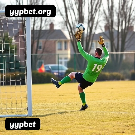 Certificações de segurança da yypbet